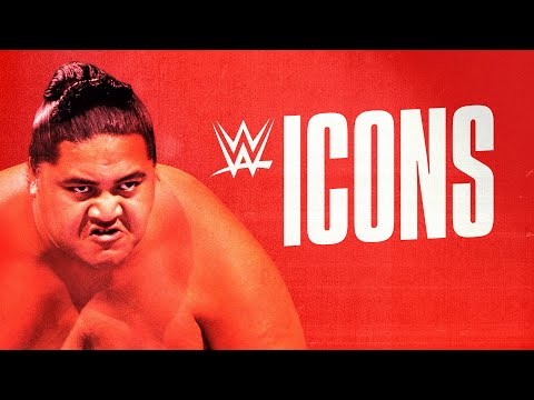 فيلم وثائقي ضخم عن “أيقونات” اتحاد WWE
